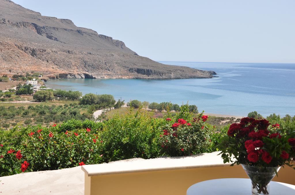 Kato Zakros Palace Apartments Eksteriør billede